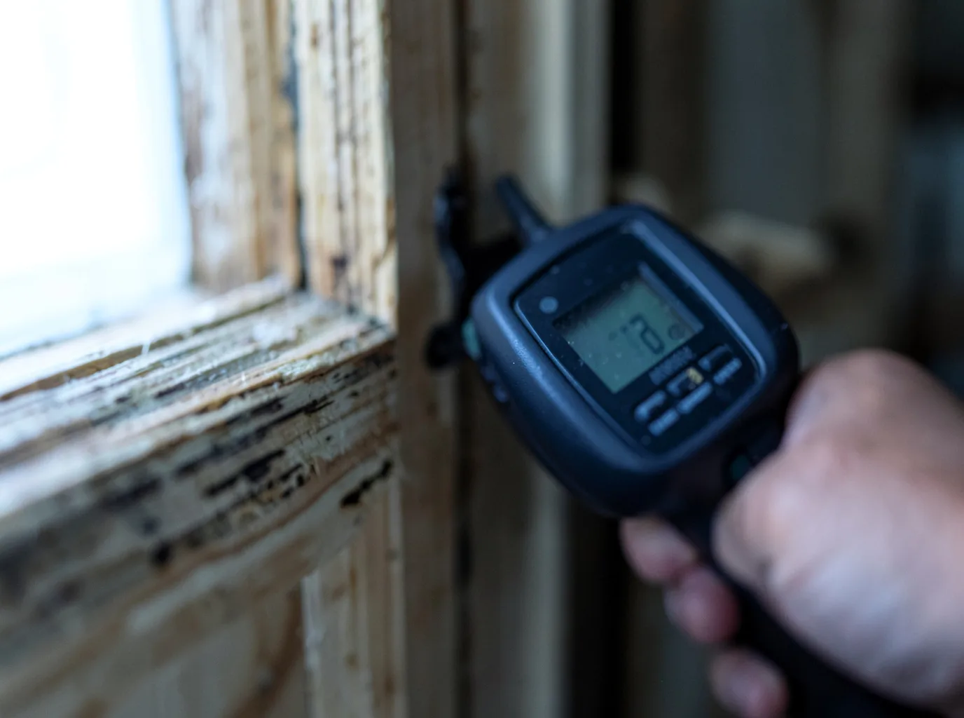 Moisture Inspection And Documentation in Social Circle, GA